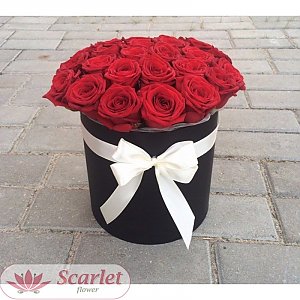 Цилиндр 35 красных роз №2, Scarlet Flower