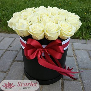 Черный цилиндр с белыми розами (21шт), Scarlet Flower
