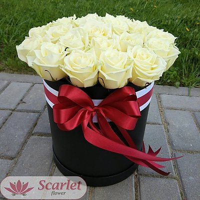 Заказать Черный цилиндр с белыми розами (25шт), Scarlet Flower