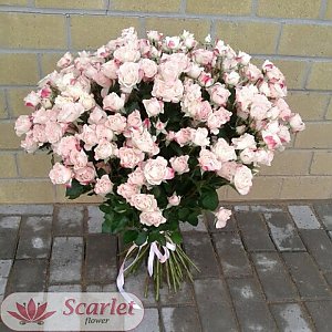 Букет 51 кустовая роза Рефлекс, Scarlet Flower