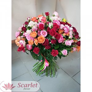 Букет 51 кустовая роза микс, Scarlet Flower