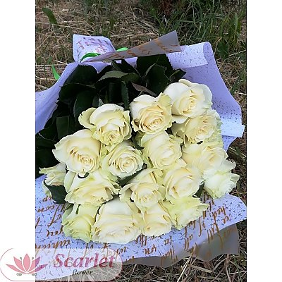 Заказать Белые розы в упаковке (21шт), Scarlet Flower