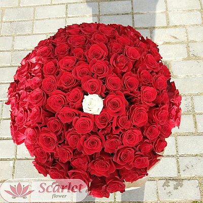 Заказать Букет 100 и 1 роза, Scarlet Flower