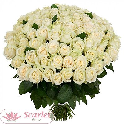 Заказать Букет 101 белая роза, Scarlet Flower