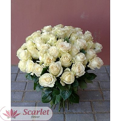 Заказать Букет 51 белая роза, Scarlet Flower