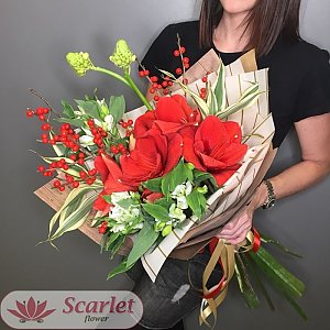 Букет Амарилис, Scarlet Flower