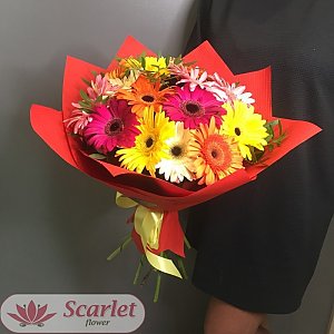 Букет Палитра, Scarlet Flower