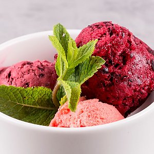 Домашнее ягодное мороженое, Terra - Минск