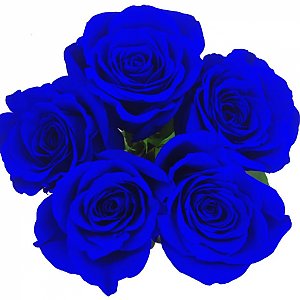Букет из 5 синих роз, Цветочная Точка
