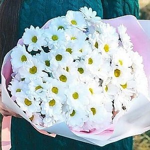 Букет из 51 белой ромашки в оформлении, Lotus Flower