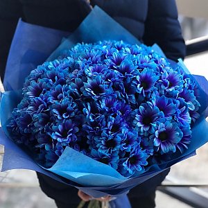 Букет из 201 синей ромашки, Lotus Flower