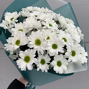 Букет ромашек, Говорящие Цветы