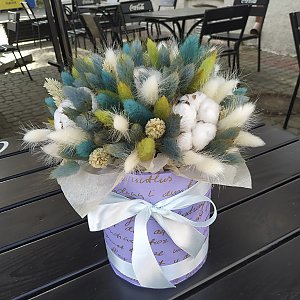 Коробка с сухоцветами Синее облако, Кактус
