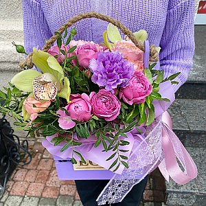 Ящик с цветами Фиолетовое счастье, Кактус