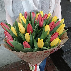 Букет тюльпанов в красно-желтом цвете, Кактус