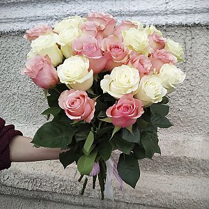 Букет из 25 роз, Кактус
