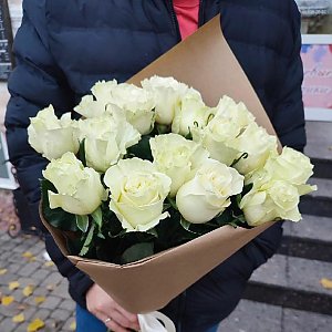 Букет из 15 белых роз, Кактус