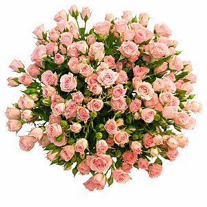 Роза кустовая розовая 70см, Лаванда - Речица