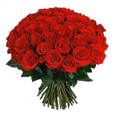 Заказать Букет из 51 розы, Лаванда - Бобруйск
