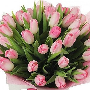 Букет 35 розовых тюльпанов, Лаванда - Бобруйск
