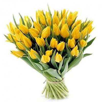 Заказать Букет 49 желтых тюльпанов, Лаванда - Бобруйск