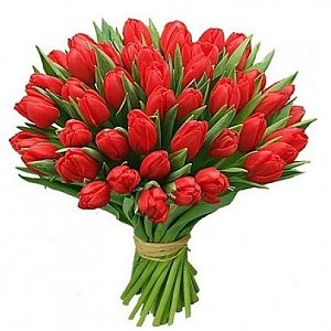 Букет 51 красный тюльпан, Лаванда - Бобруйск