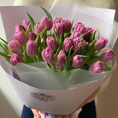 Заказать Букет из 25 пионовидных тюльпанов, FRESH FLOWERS