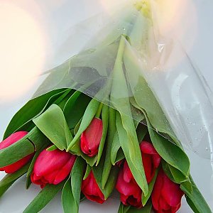 Букет красных тюльпанов, FRESH FLOWERS