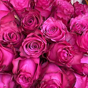 Роза Лола 60см, BARBARIS Flowers