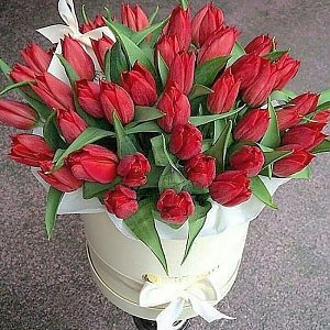 51 тюльпан в цилиндре Время Любить, Ромашка
