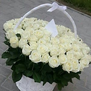 101 белая роза в корзине, Ромашка