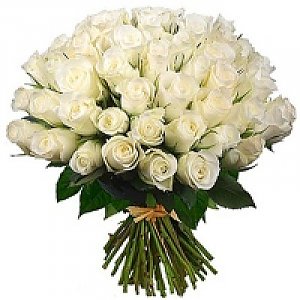 Букет 101 белая роза, Ромашка