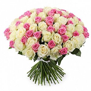 Букет из 101 бело-розовой розы, Ромашка