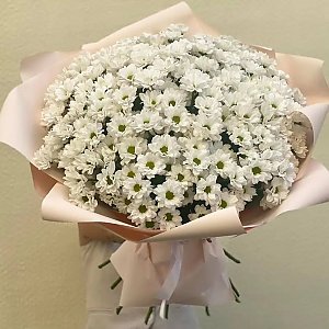 Букет Облако нежности, Ромашка