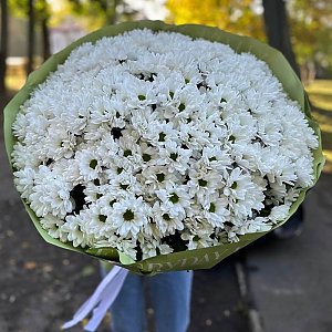 Букет Единственная моя, Ромашка