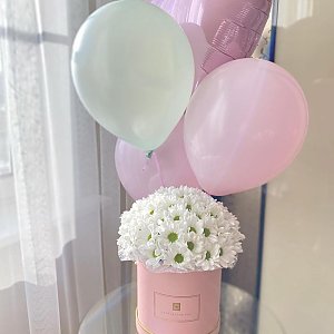 Цилиндр Ромашки, Ромашка