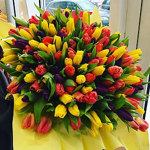 Букет из 101 разноцветного тюльпана, Лора