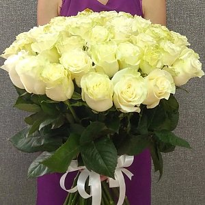 Роза Белая 55см, Цветы Солигорск