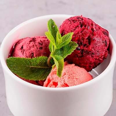 Заказать Домашнее ягодное мороженое, Terra - Гродно