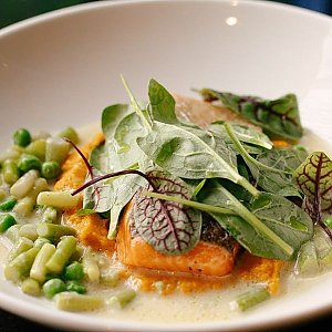 Форель с морковью и зеленым соте, Таймс Кафе