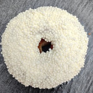 Донат Белый шоколад, Пончесса