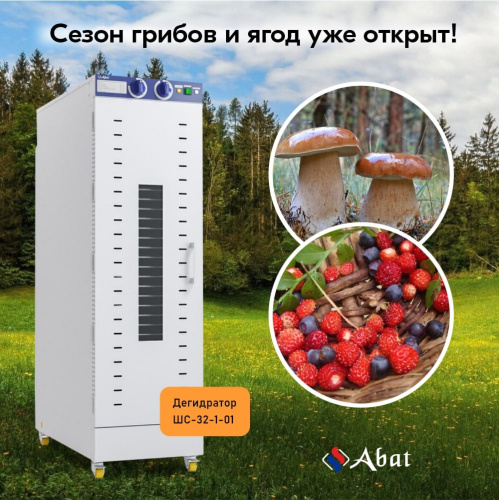 Дегидраторы для сушки продуктов от Abat