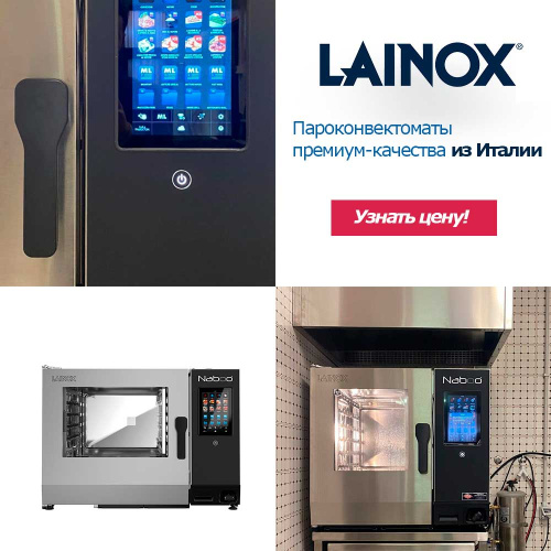 Пароконвектоматы Lainox уже в продаже!
