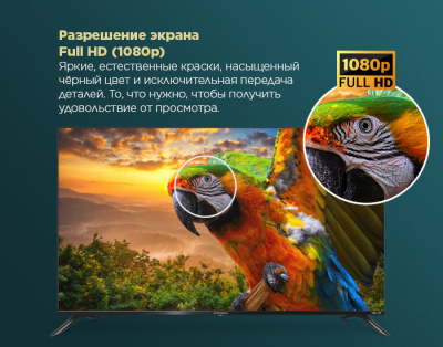 Телевизор MAUNFELD MLT43FSD02 на сайте Белторгхолод