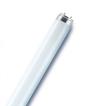 959638 Лампа люминесцентная L 15W/765  G13 Osram, Ввезен из РФ. Код ОКРБ 007-2012: 27.40.15